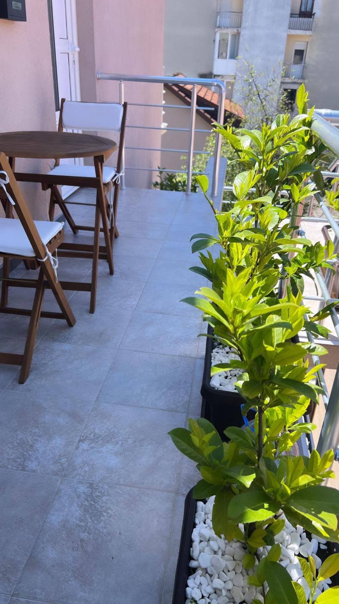Apartman Scepanovic 2 *